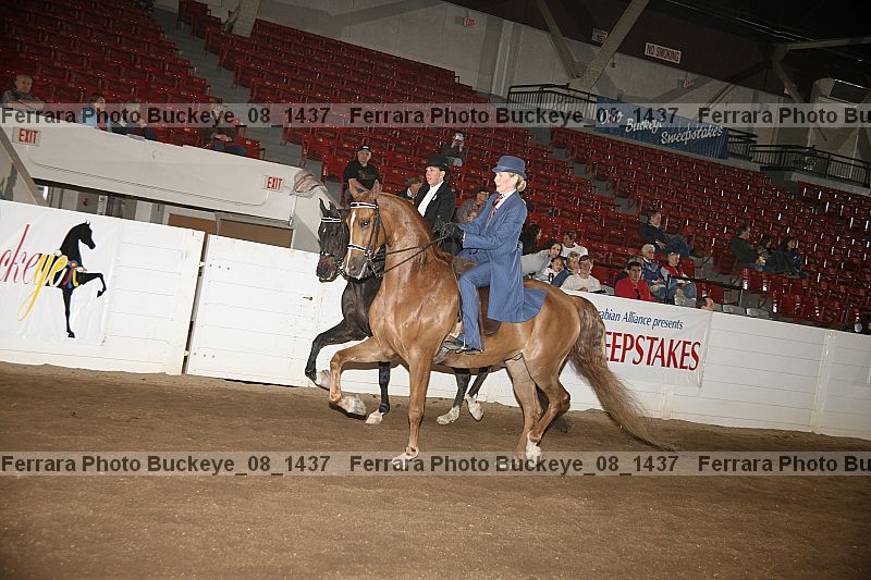 Proof buckeye_08_1437