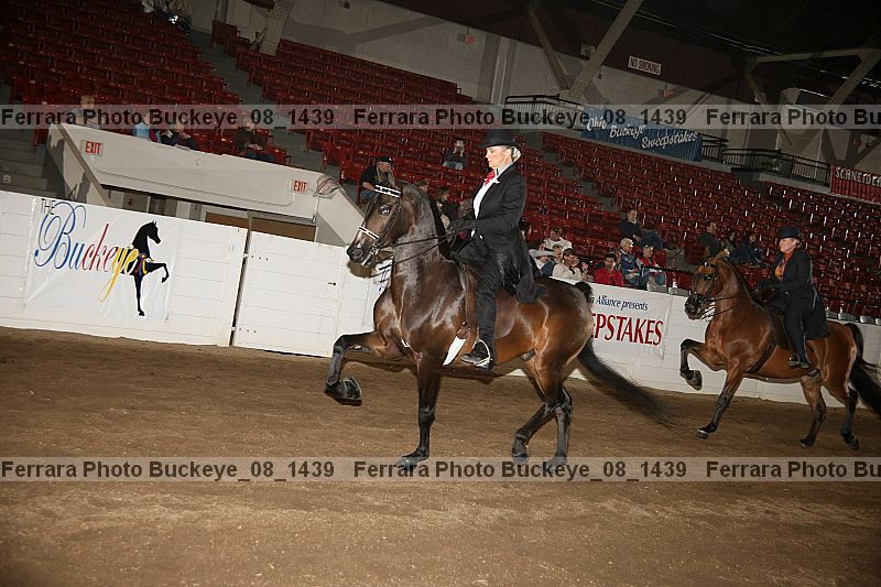 Proof buckeye_08_1439