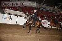 buckeye_08_1439 proof