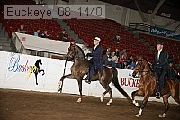 buckeye_08_1440 proof