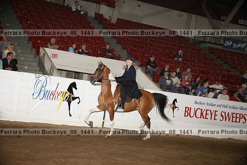 Proof buckeye_08_1441