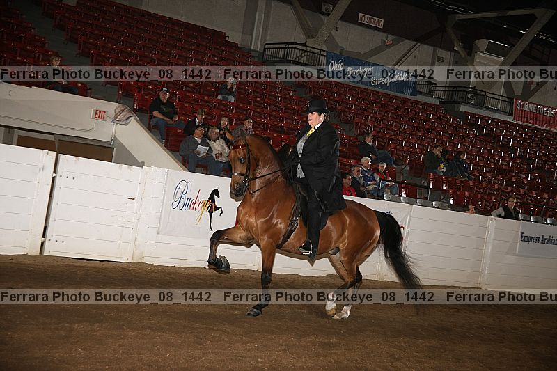 Proof buckeye_08_1442