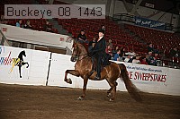 buckeye_08_1443 proof