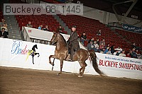 buckeye_08_1445 proof