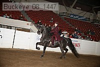 buckeye_08_1447 proof