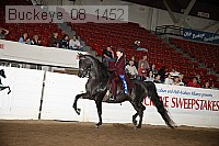 buckeye_08_1452 proof