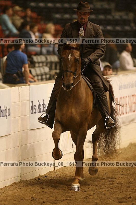 Proof buckeye_08_1517