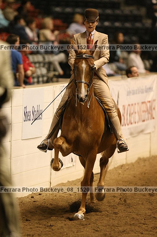 Proof buckeye_08_1520