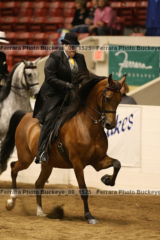 Proof buckeye_08_1525