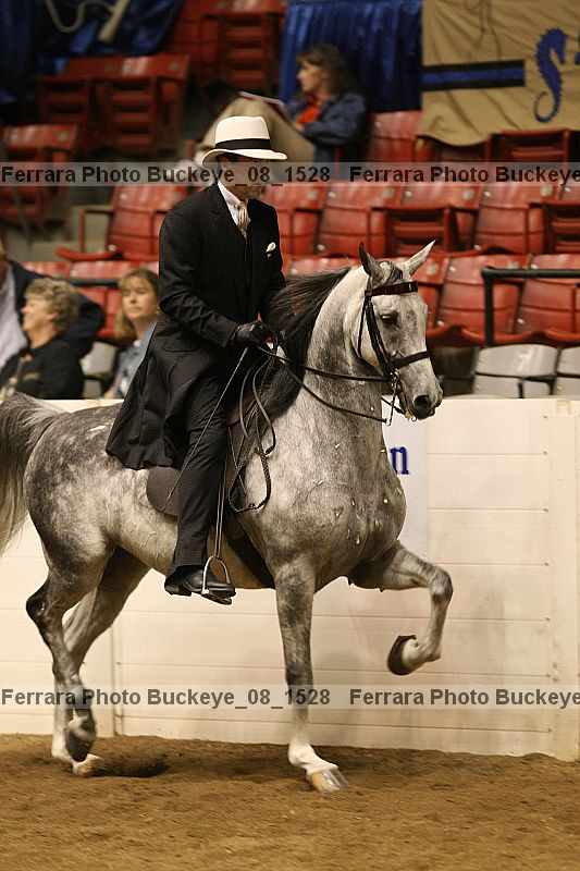 Proof buckeye_08_1528