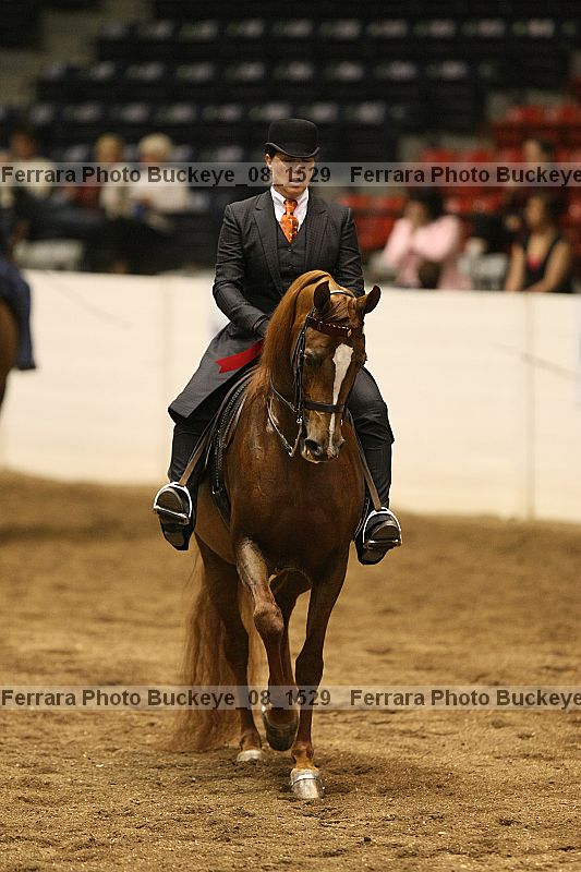 Proof buckeye_08_1529