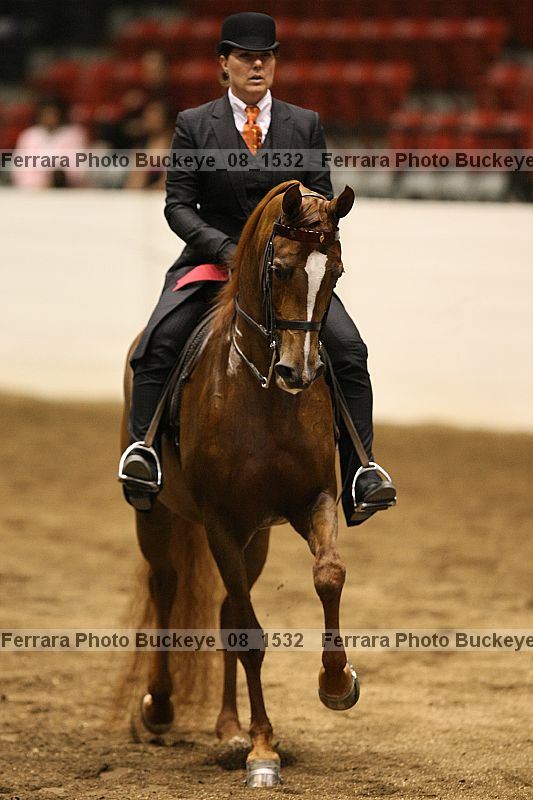 Proof buckeye_08_1532