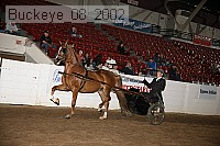 buckeye_08_2002 proof