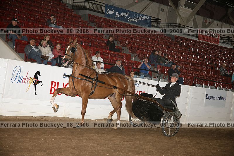 Proof buckeye_08_2006