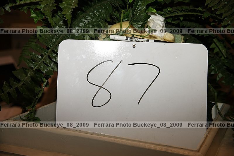Proof buckeye_08_2009
