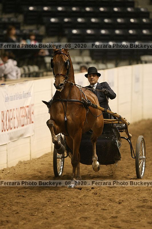 Proof buckeye_08_2020
