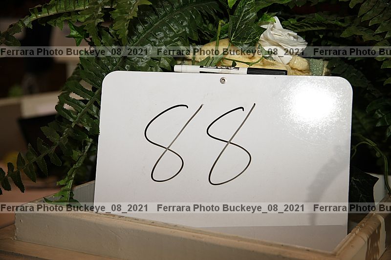 Proof buckeye_08_2021