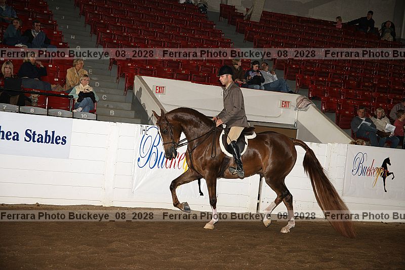 Proof buckeye_08_2028