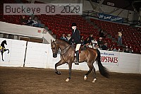 buckeye_08_2029 proof