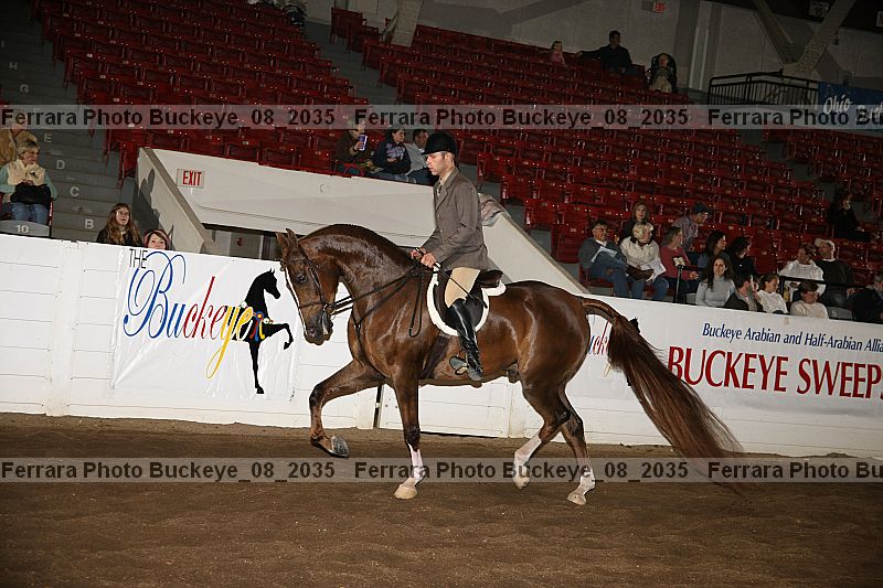Proof buckeye_08_2035