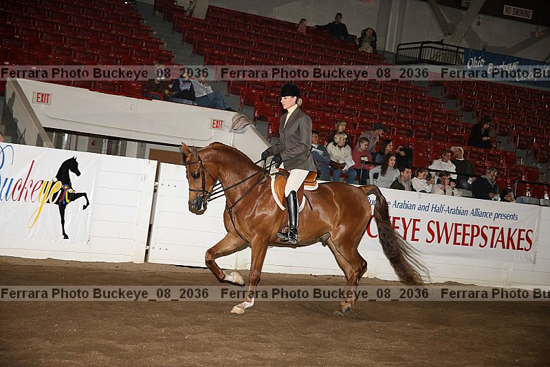 Proof buckeye_08_2036