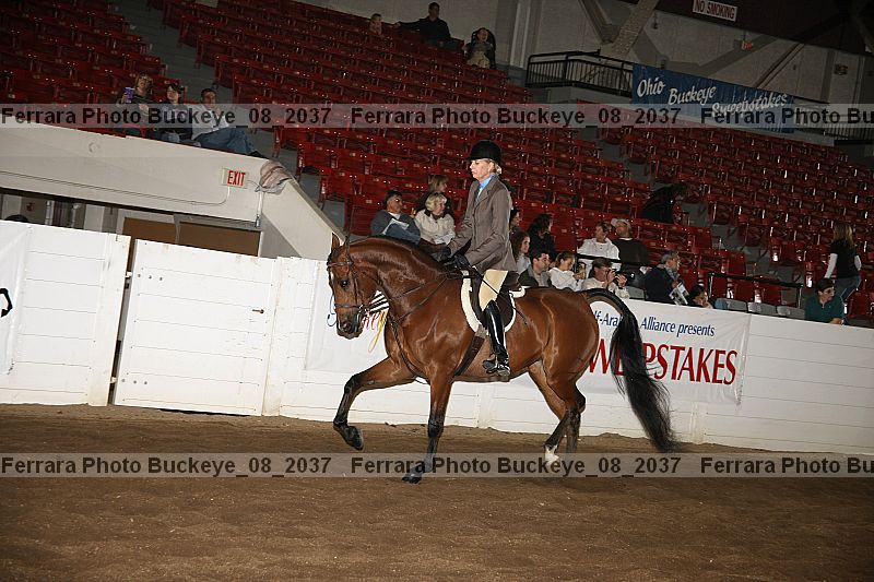 Proof buckeye_08_2037