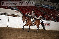 buckeye_08_2037 proof