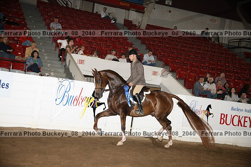 Proof buckeye_08_2040