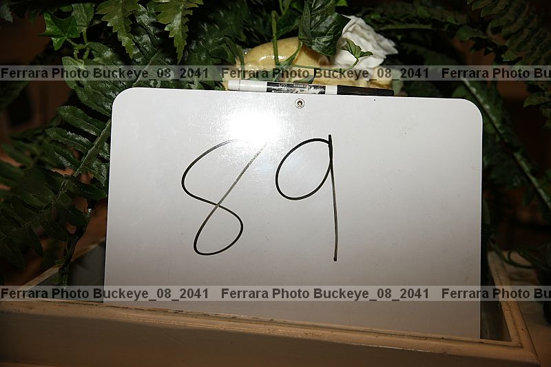 Proof buckeye_08_2041