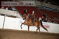 buckeye_08_2044 proof