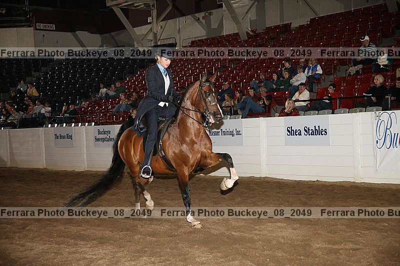 Proof buckeye_08_2049