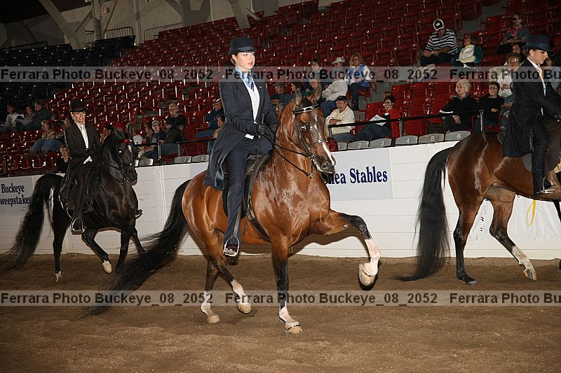 Proof buckeye_08_2052