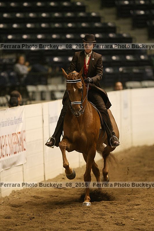 Proof buckeye_08_2056