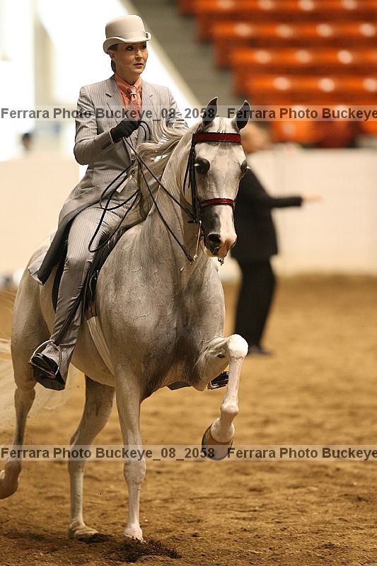 Proof buckeye_08_2058