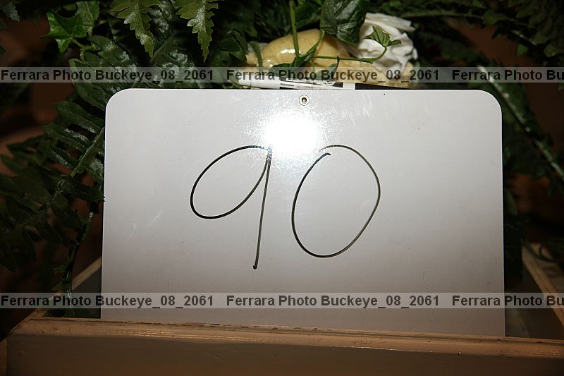 Proof buckeye_08_2061