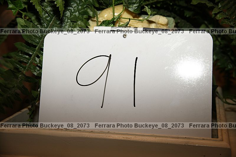 Proof buckeye_08_2073