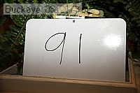 buckeye_08_2073 proof