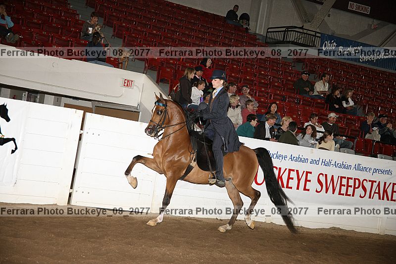 Proof buckeye_08_2077