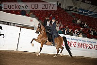 buckeye_08_2077 proof