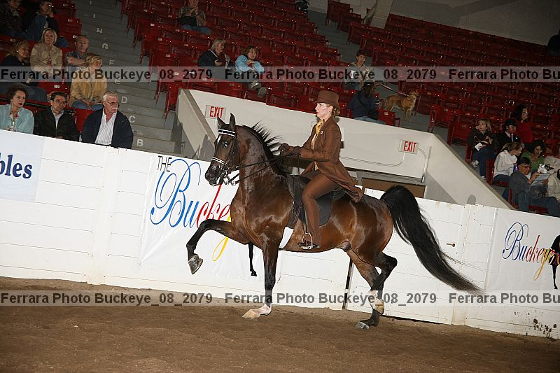 Proof buckeye_08_2079