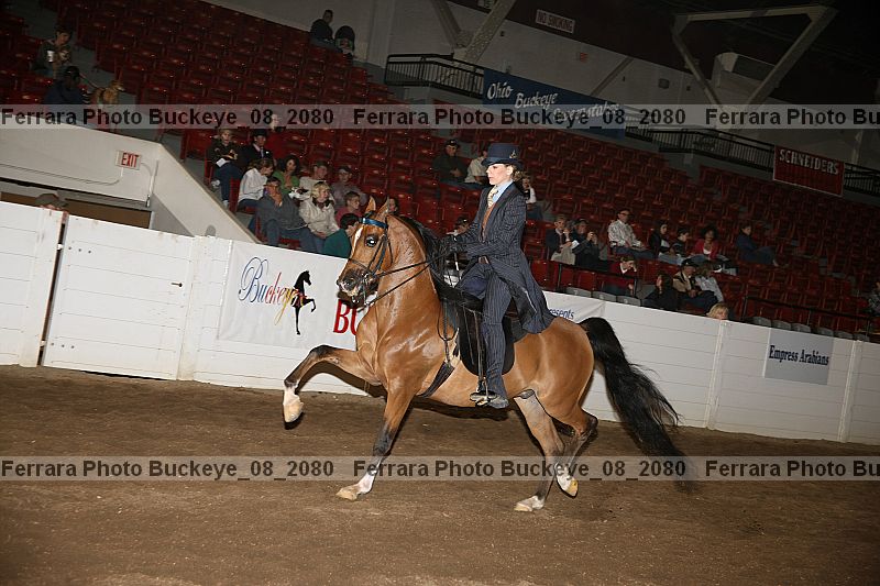 Proof buckeye_08_2080