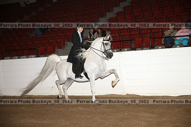 Proof buckeye_08_2082