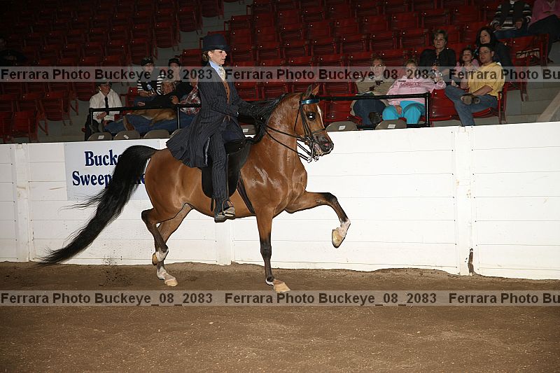 Proof buckeye_08_2083