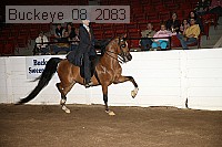 buckeye_08_2083 proof