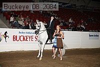 buckeye_08_2084 proof