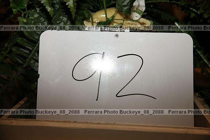 Proof buckeye_08_2088