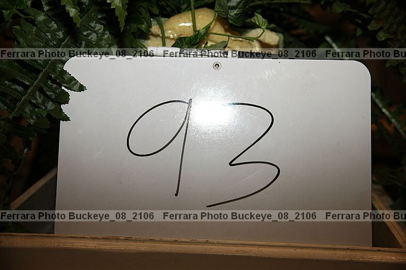 Proof buckeye_08_2106