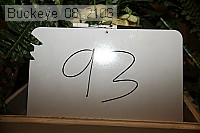 buckeye_08_2106 proof