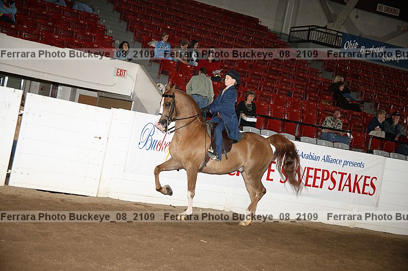 Proof buckeye_08_2109