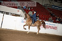buckeye_08_2109 proof